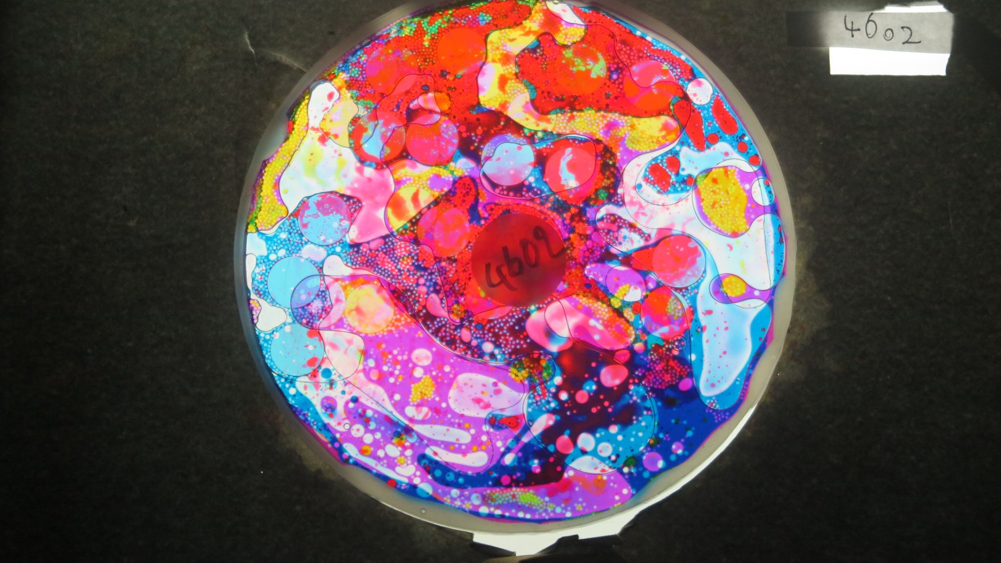 BV4602 bubble vision oil wheel